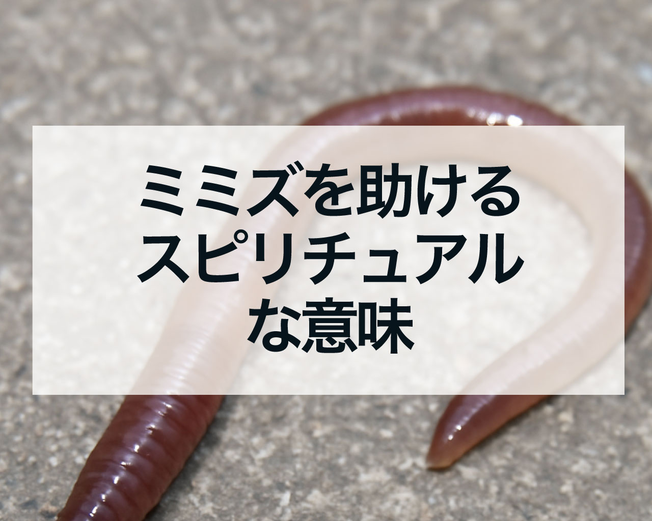 ミミズを助けるスピリチュアルな意味