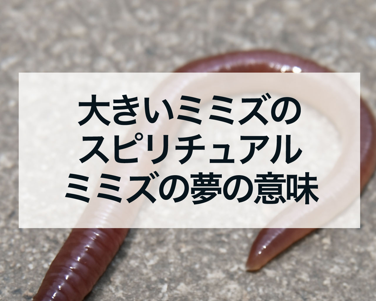 大きいミミズのスピリチュアル、大きいミミズの夢の意味