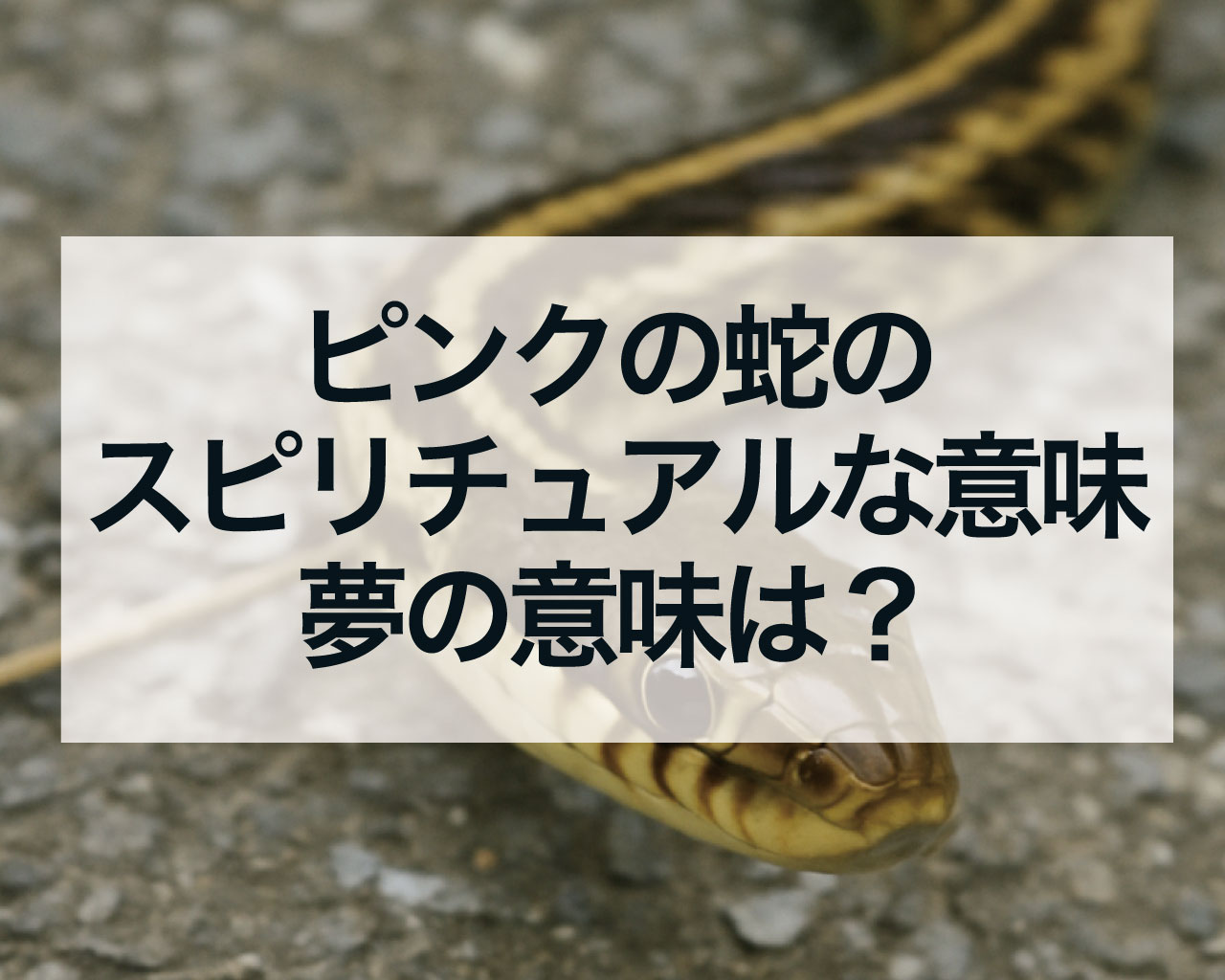 ピンクの蛇のスピリチュアルな意味、ピンクの蛇の夢の意味は？