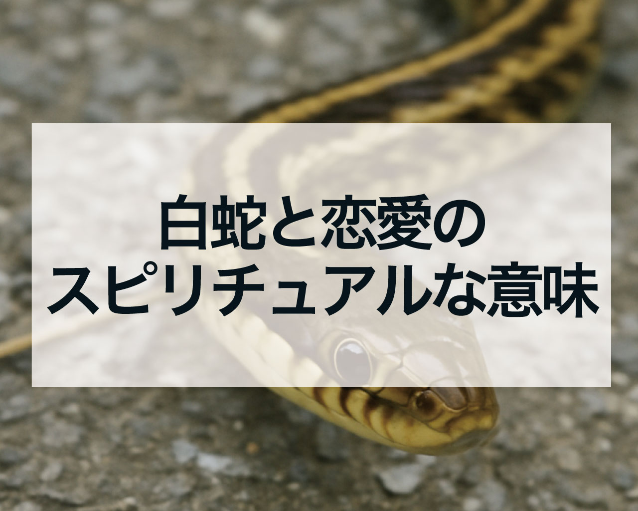 白蛇と恋愛のスピリチュアルな意味