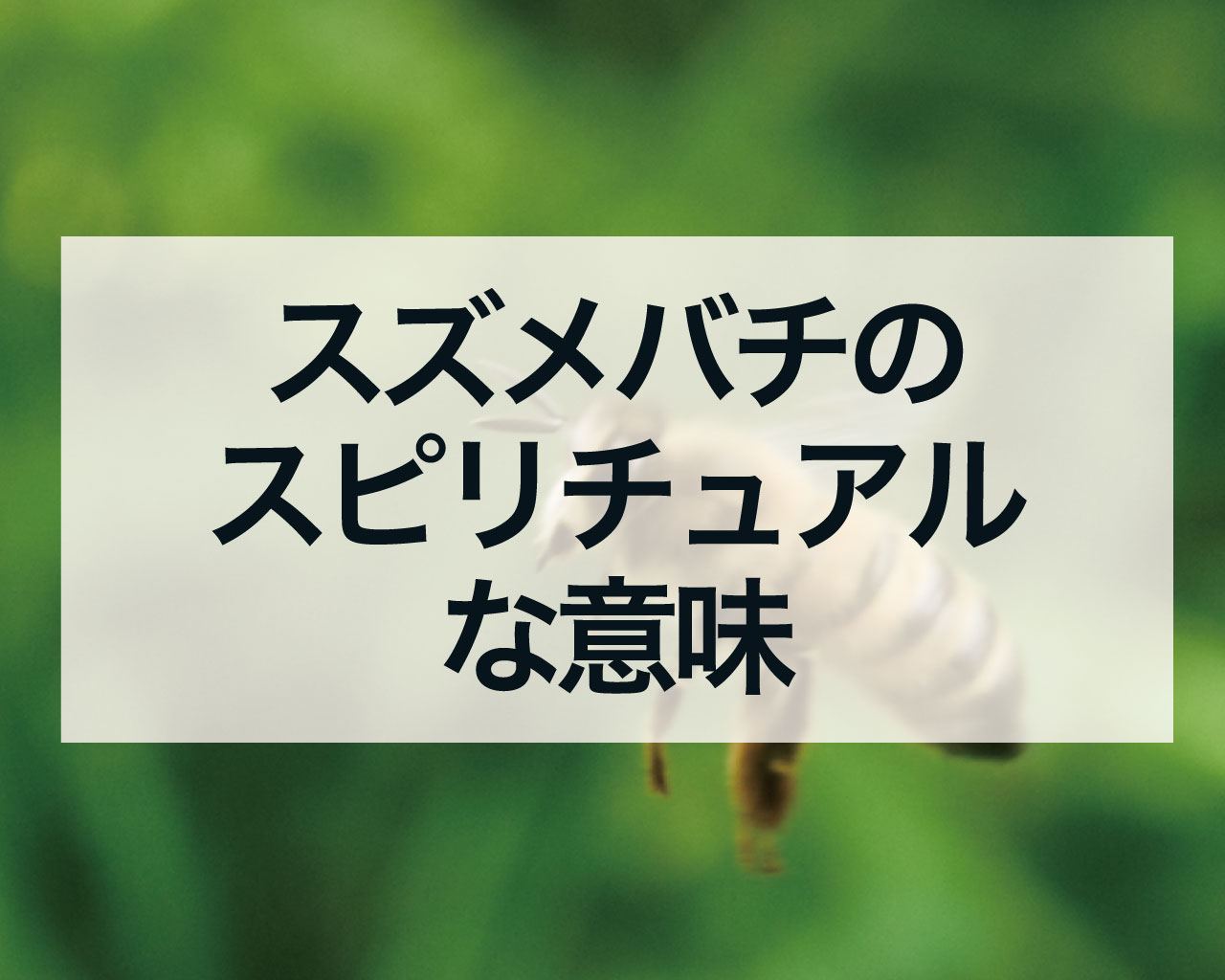 スズメバチのスピリチュアルな意味