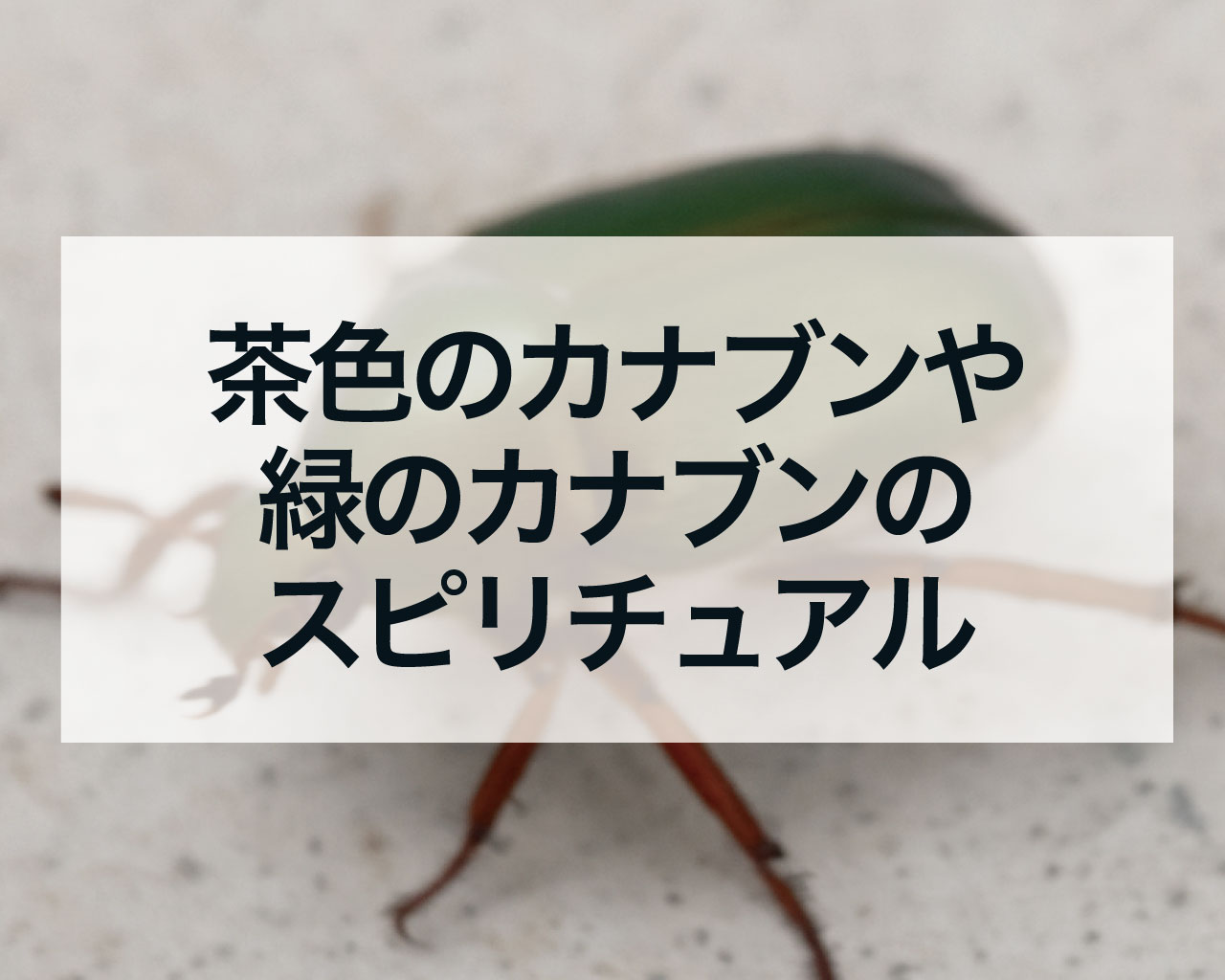 茶色のカナブンや緑のカナブンのスピリチュアルと宝くじの関係