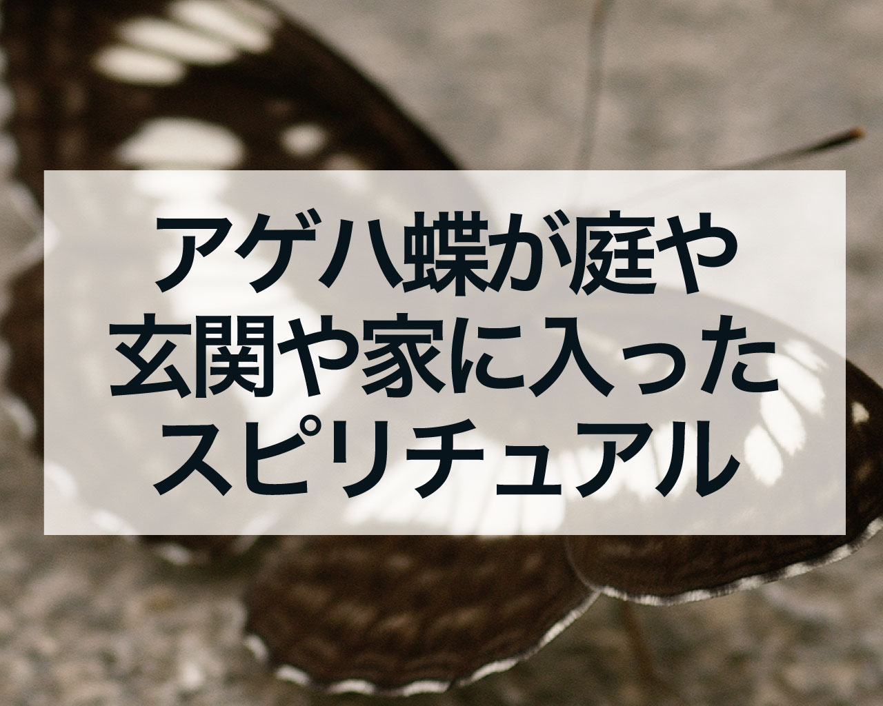 アゲハ蝶が庭や玄関や家の中に入ったスピリチュアルな意味