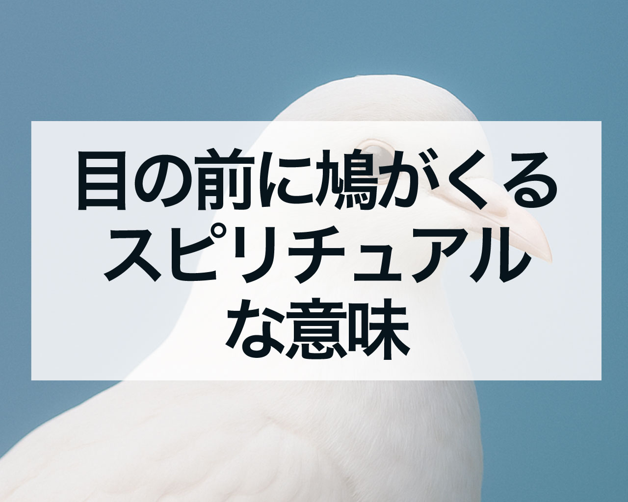 目の前に鳩がくるスピリチュアルな意味