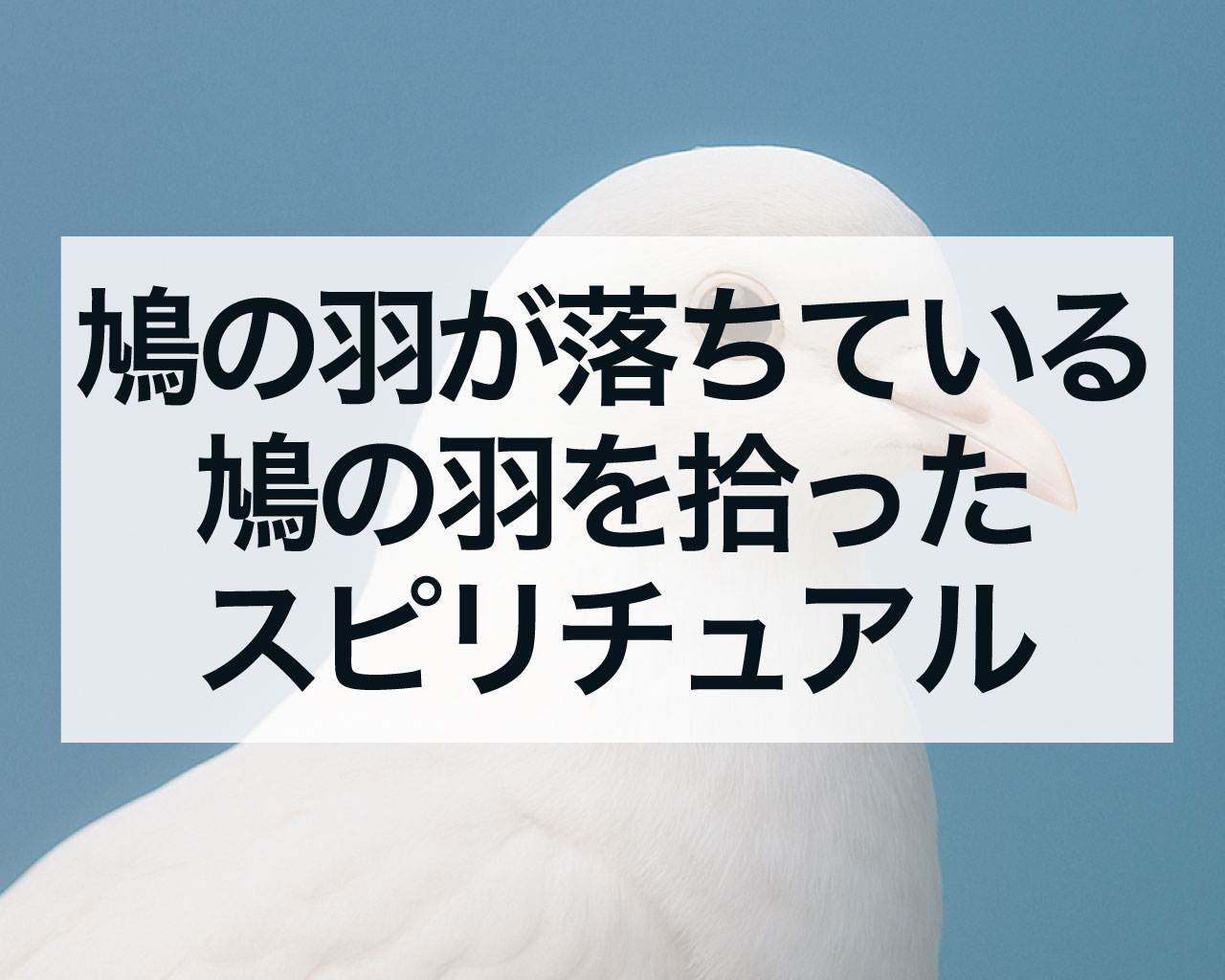 鳩の羽が落ちている、鳩の羽を拾ったスピリチュアル