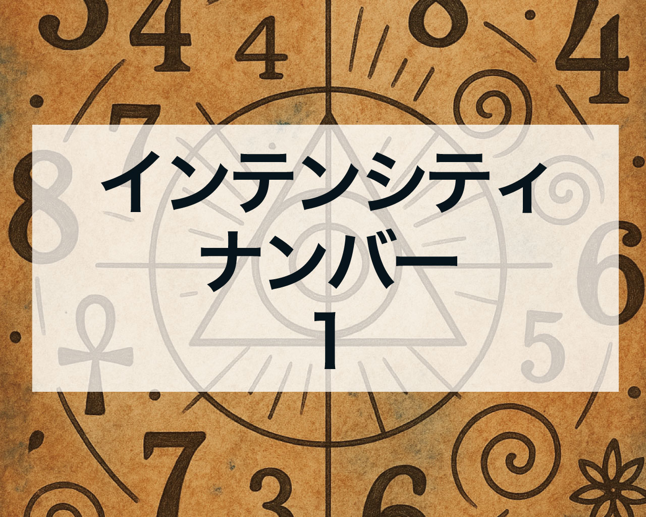 インテンシティナンバー1