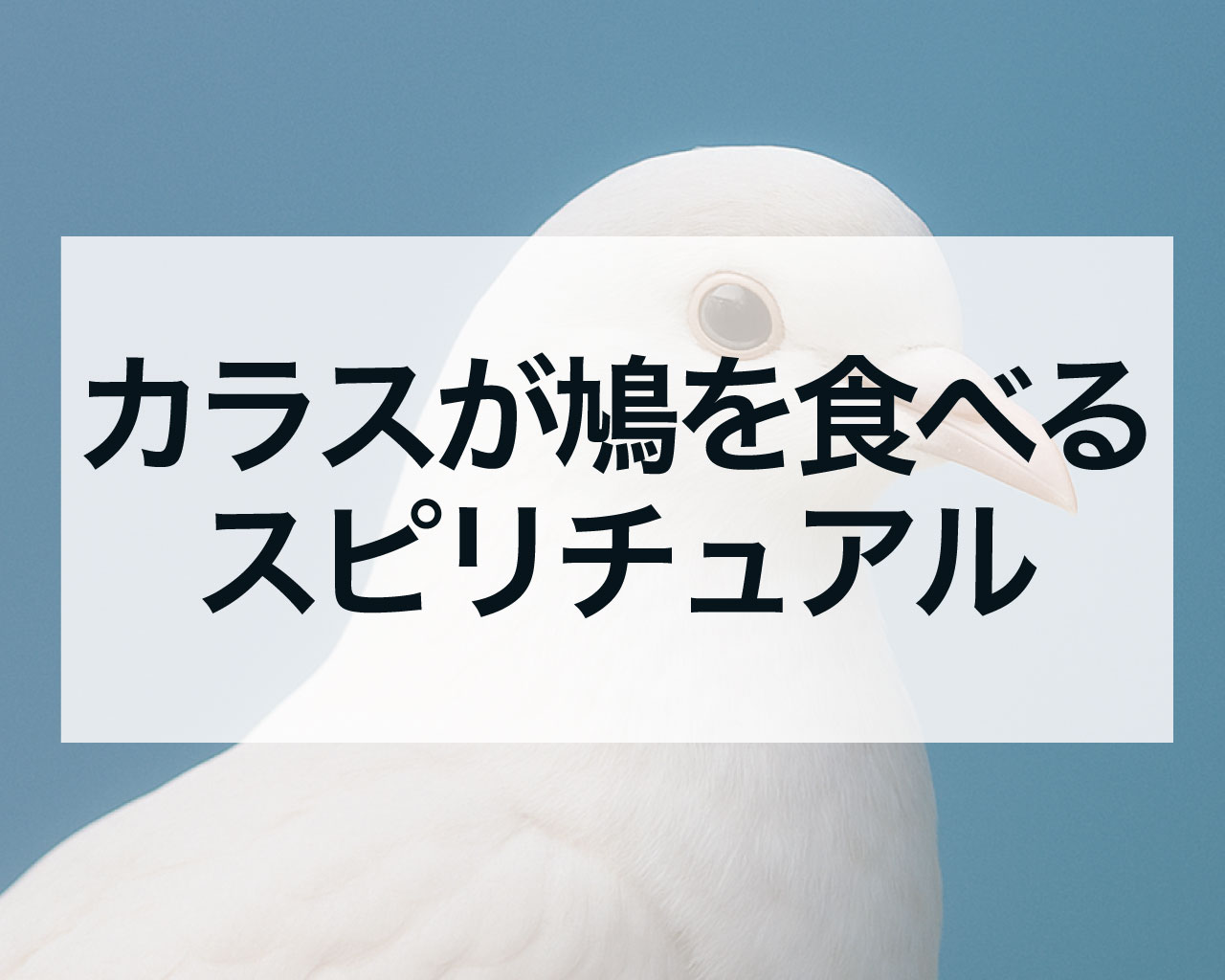 カラスが鳩を食べるスピリチュアル