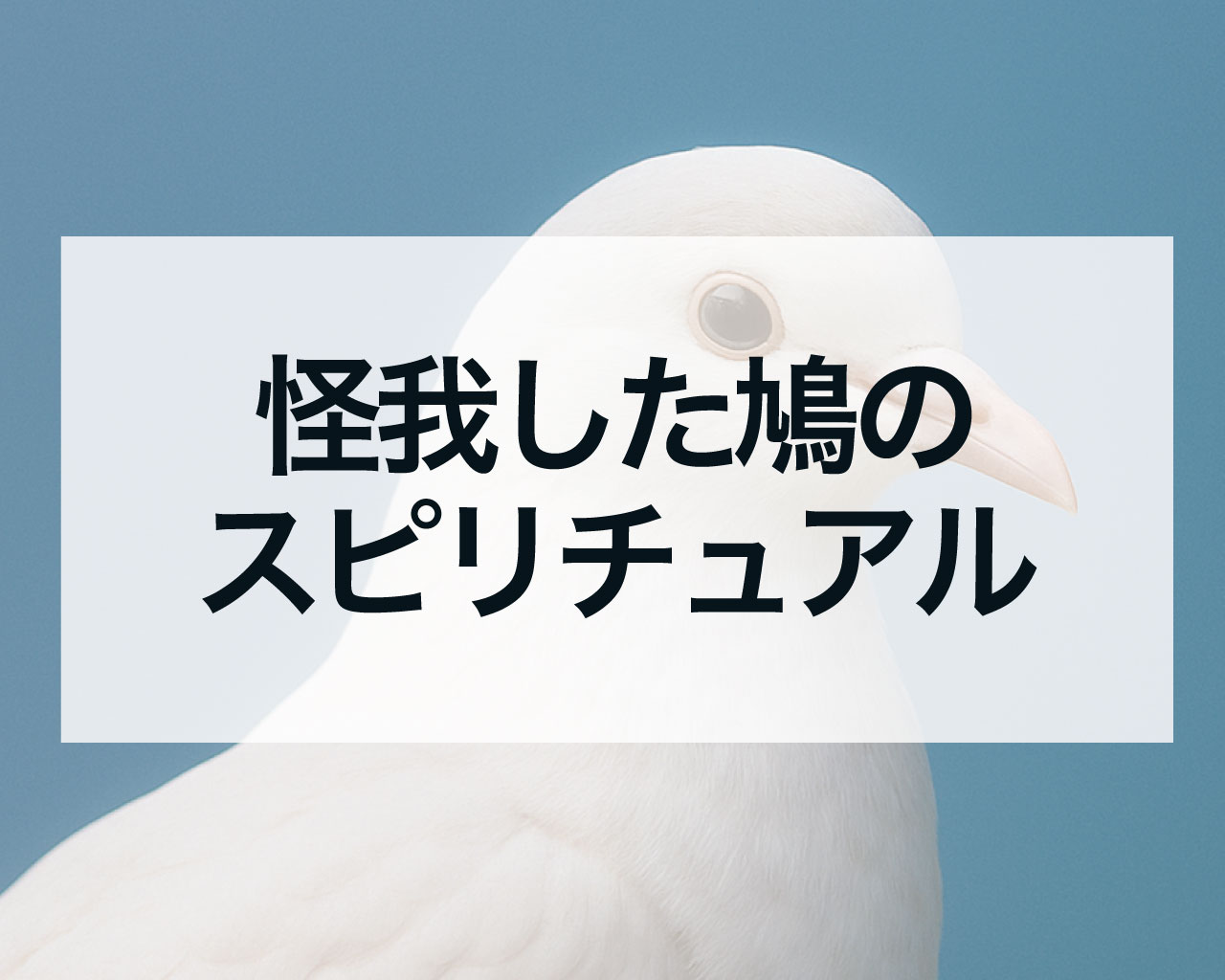 怪我した鳩のスピリチュアル