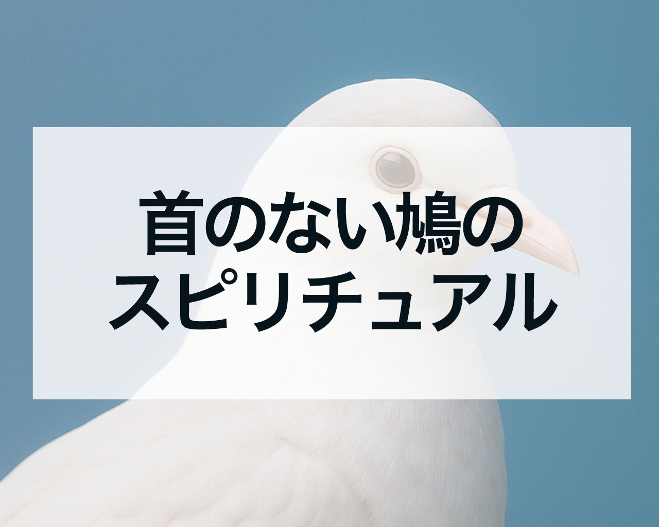首のない鳩のスピリチュアル