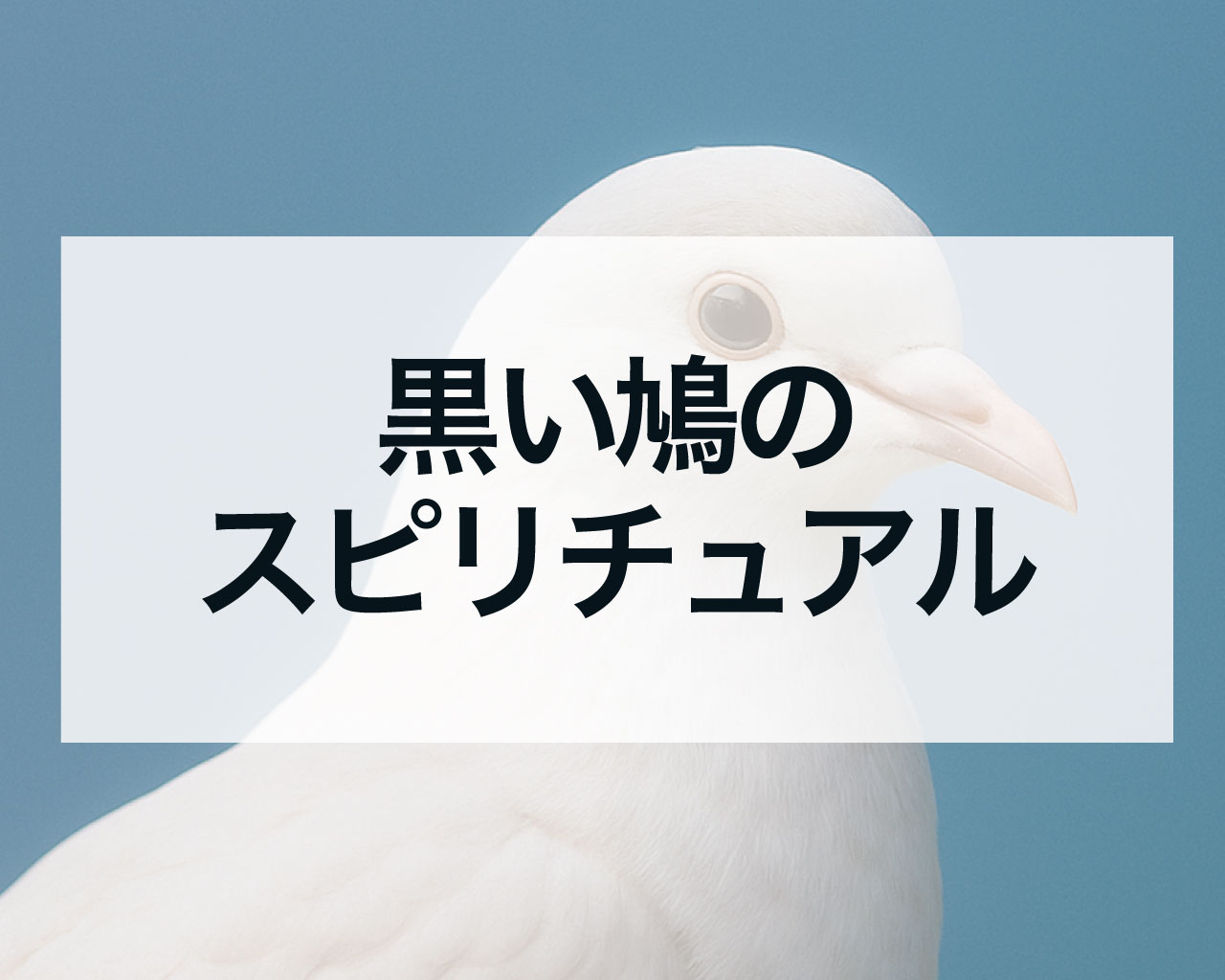 黒い鳩のスピリチュアル