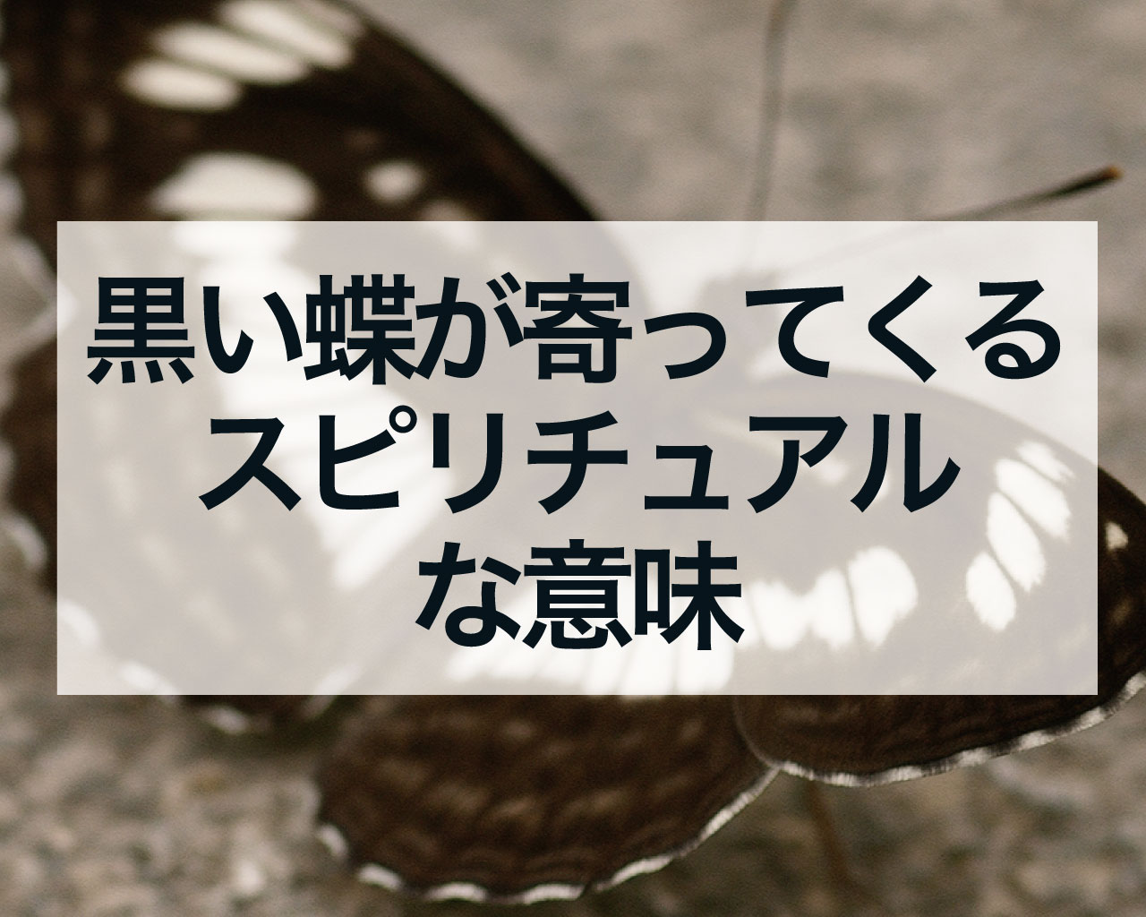 黒い蝶が寄ってくるスピリチュアルな意味