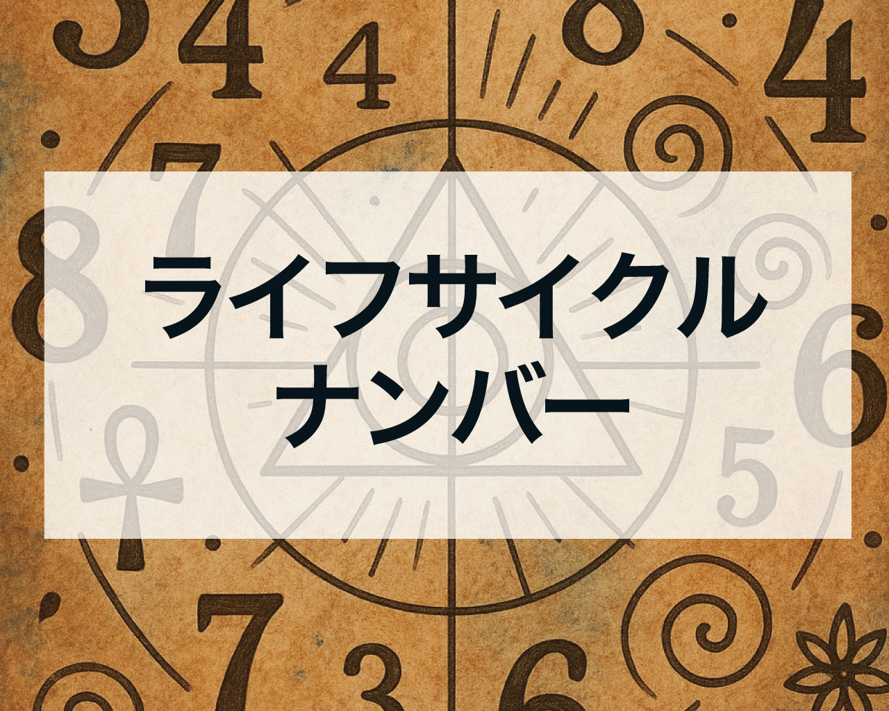 ライフサイクルナンバー
