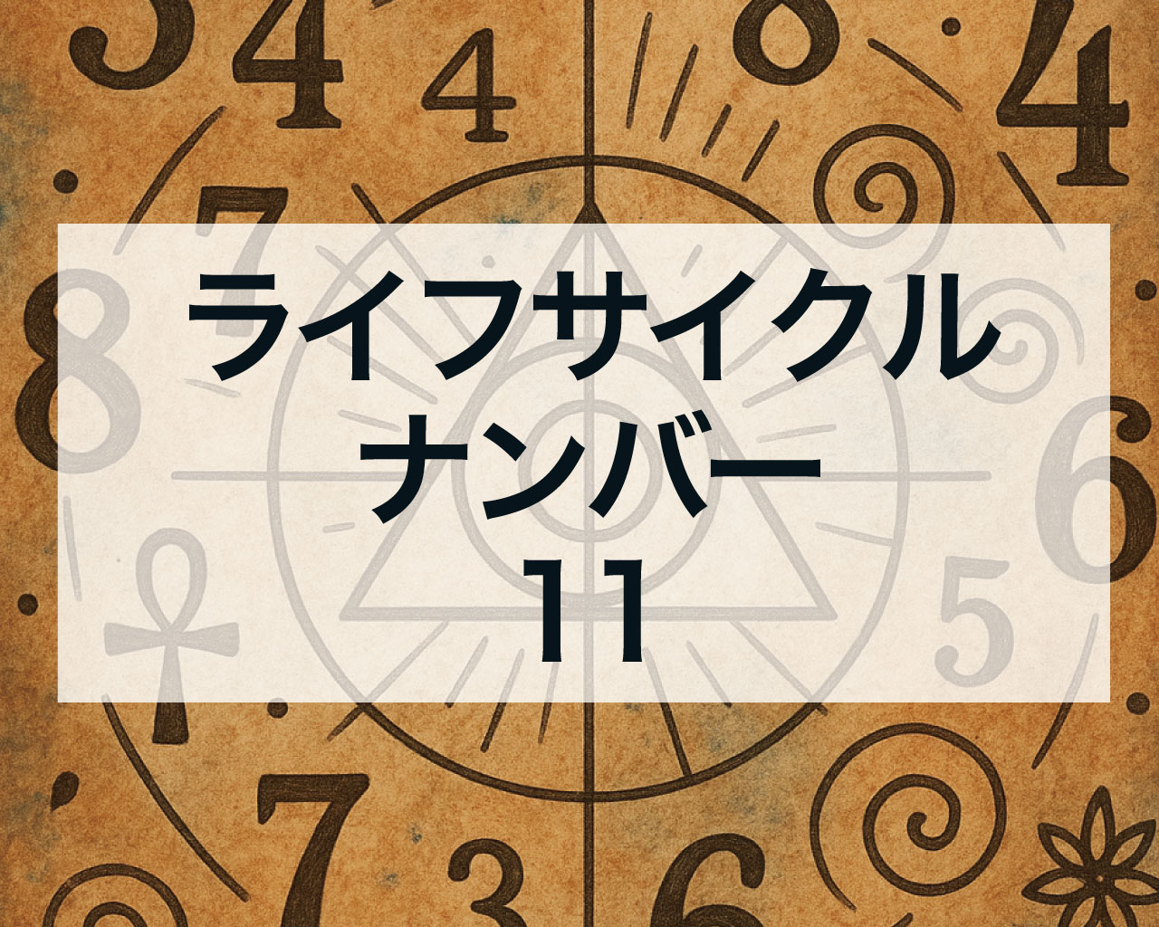 ライフサイクルナンバー11