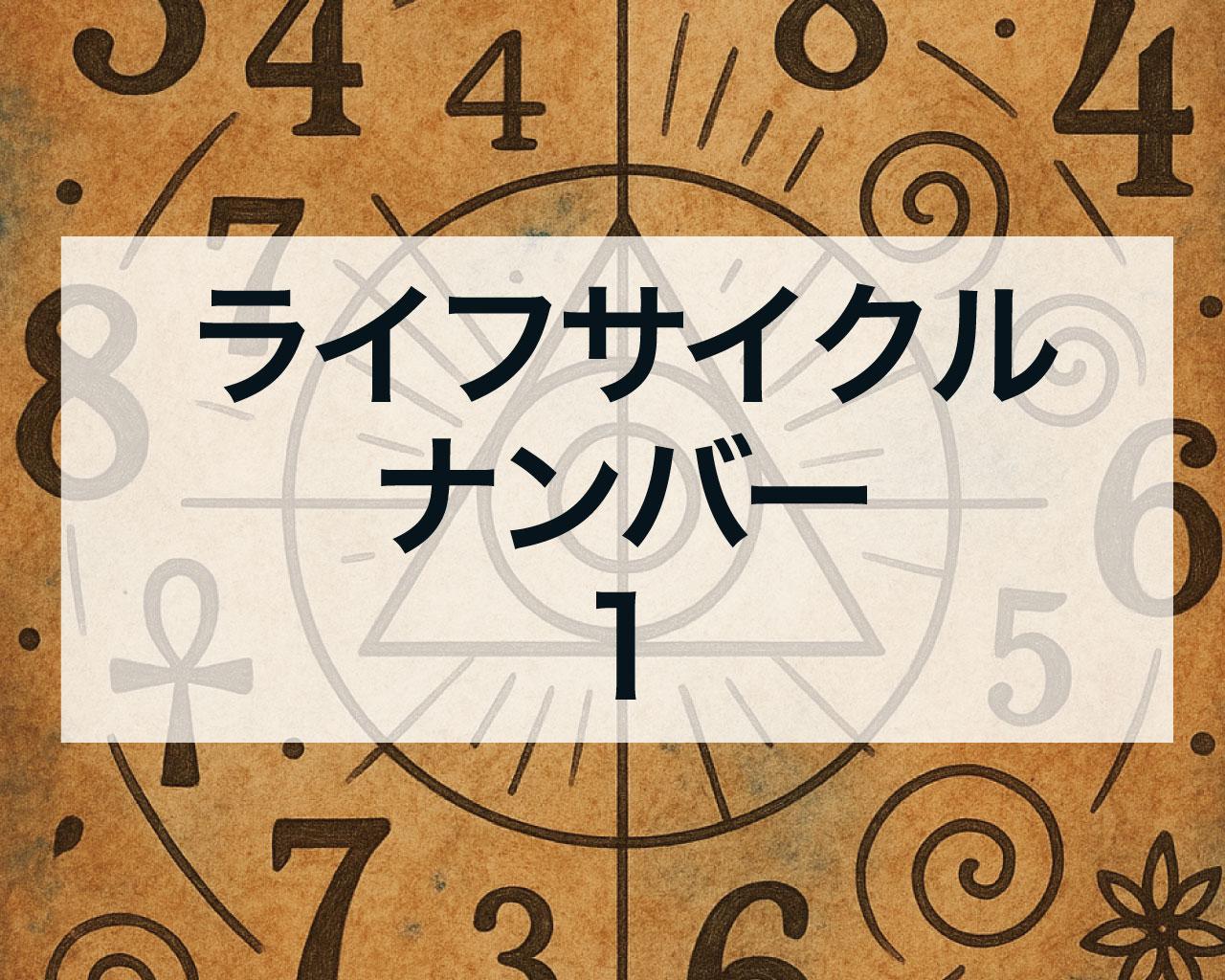 ライフサイクルナンバー1