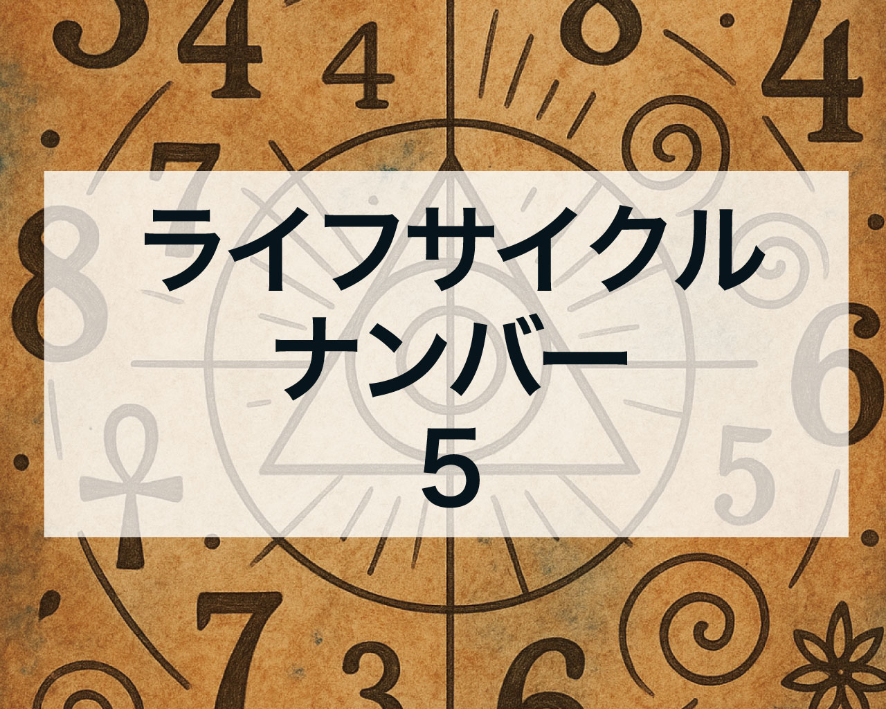 ライフサイクルナンバー5