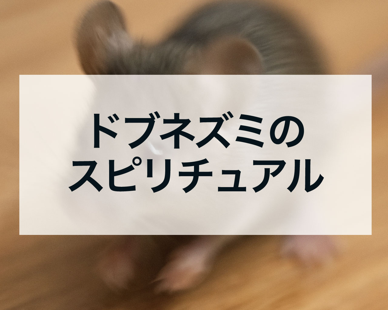 ドブネズミのスピリチュアル
