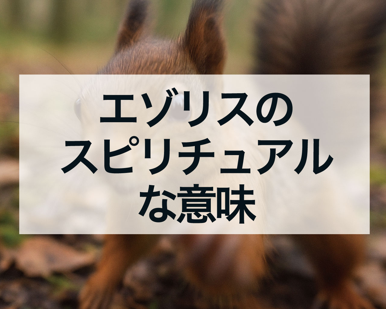 エゾリスのスピリチュアルな意味
