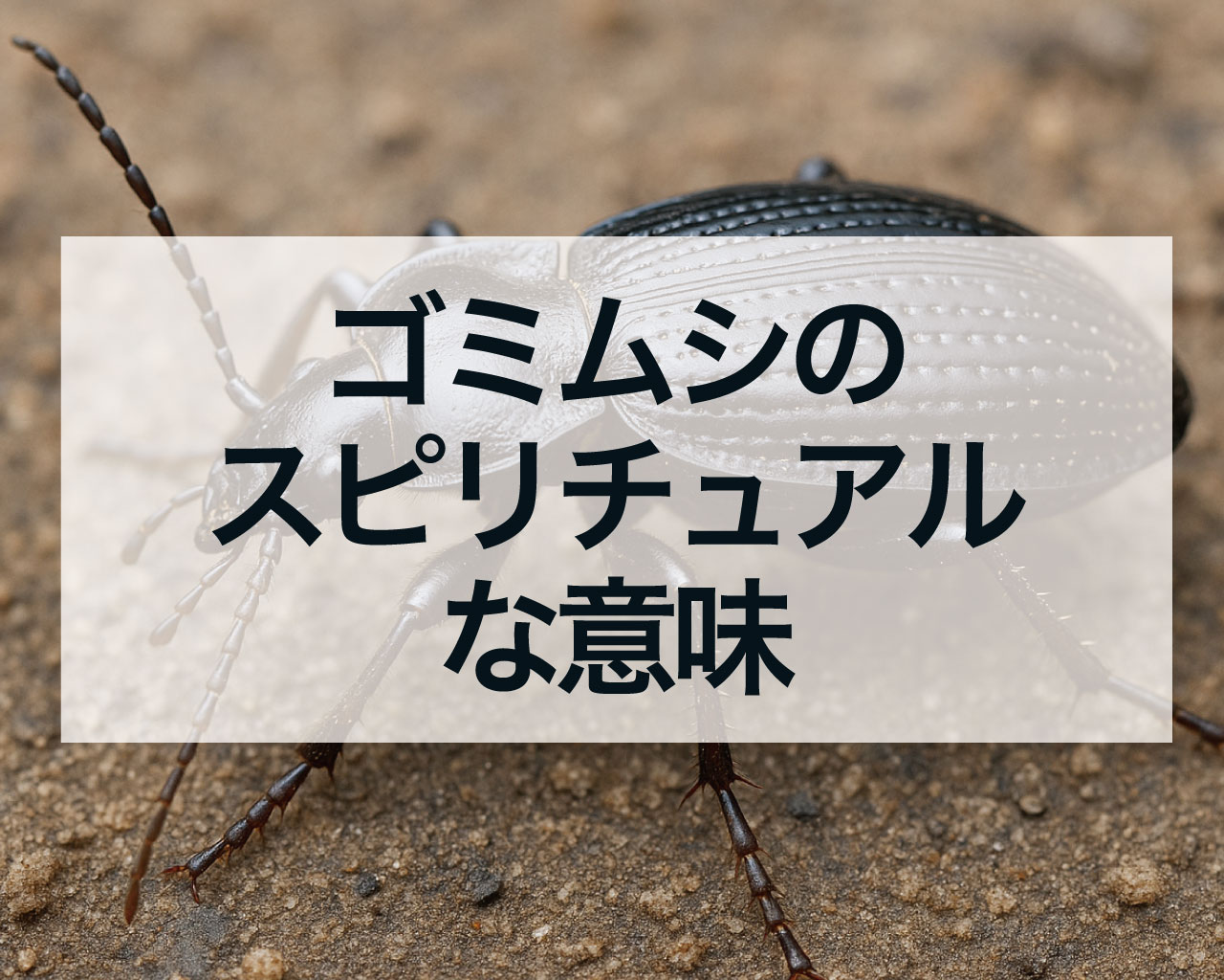 ゴミムシの スピリチュアル な意味