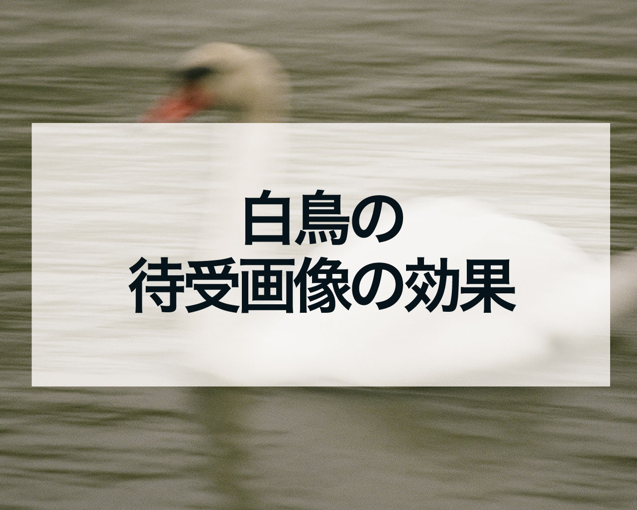 白鳥の待受画像の効果