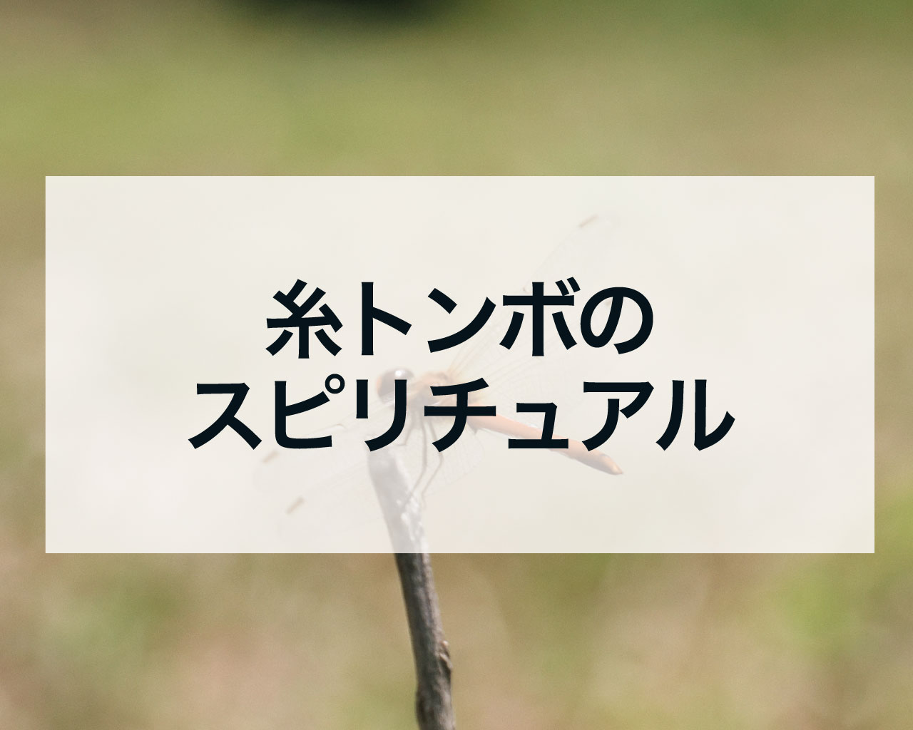 糸トンボのスピリチュアル