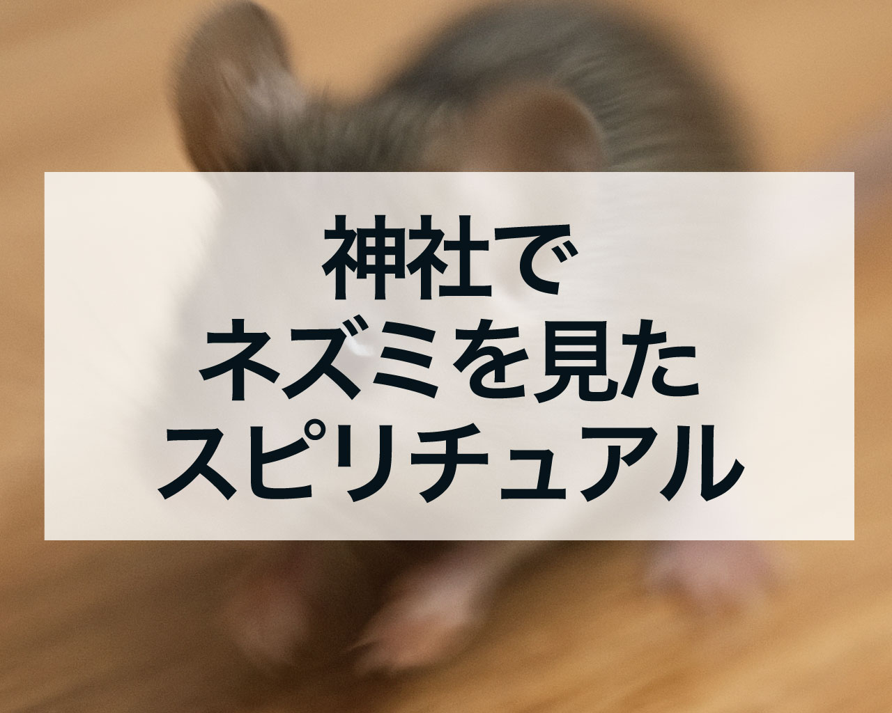 神社でネズミを見たスピリチュアルな意味