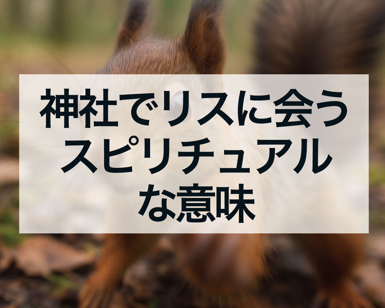 神社でリスに会うスピリチュアルな意味