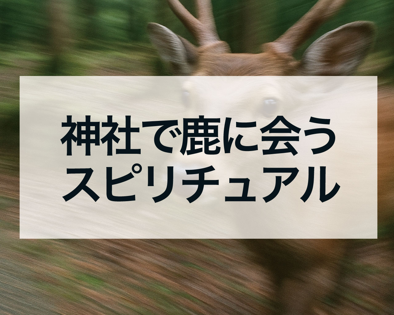 神社で鹿に会うスピリチュアルな意味