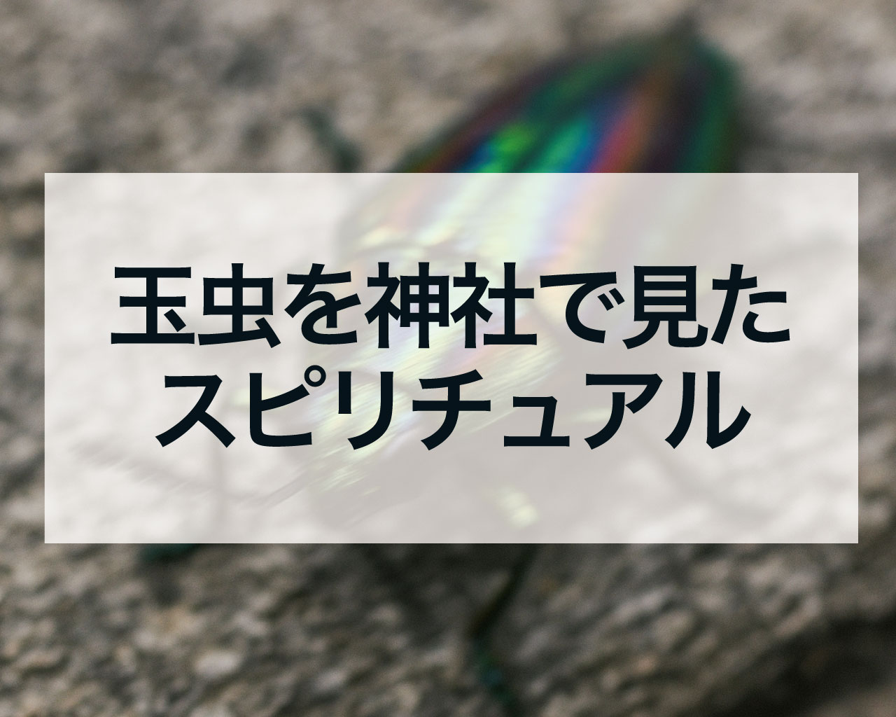 玉虫を神社で見たスピリチュアルな意味