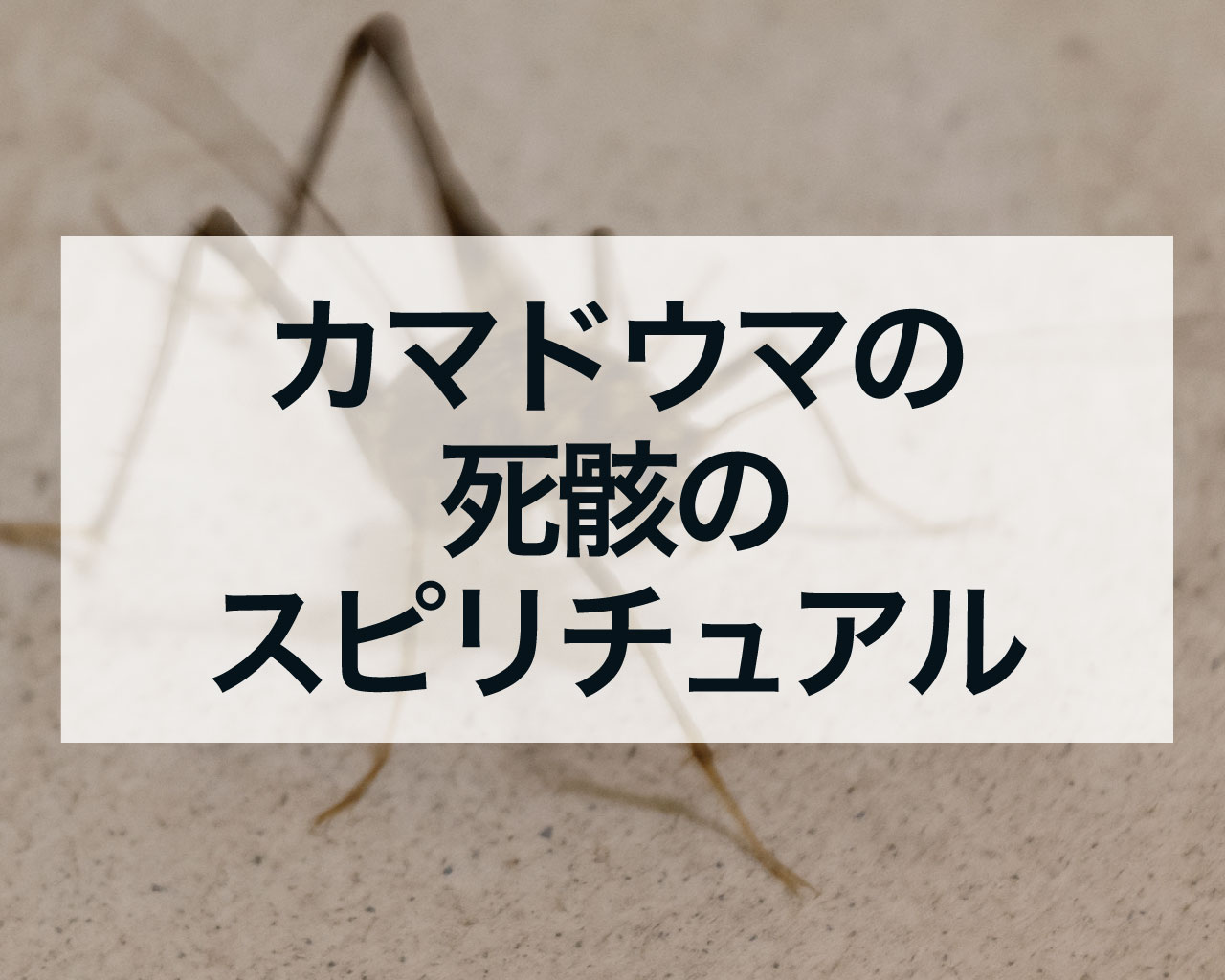 カマドウマの死骸のスピリチュアル