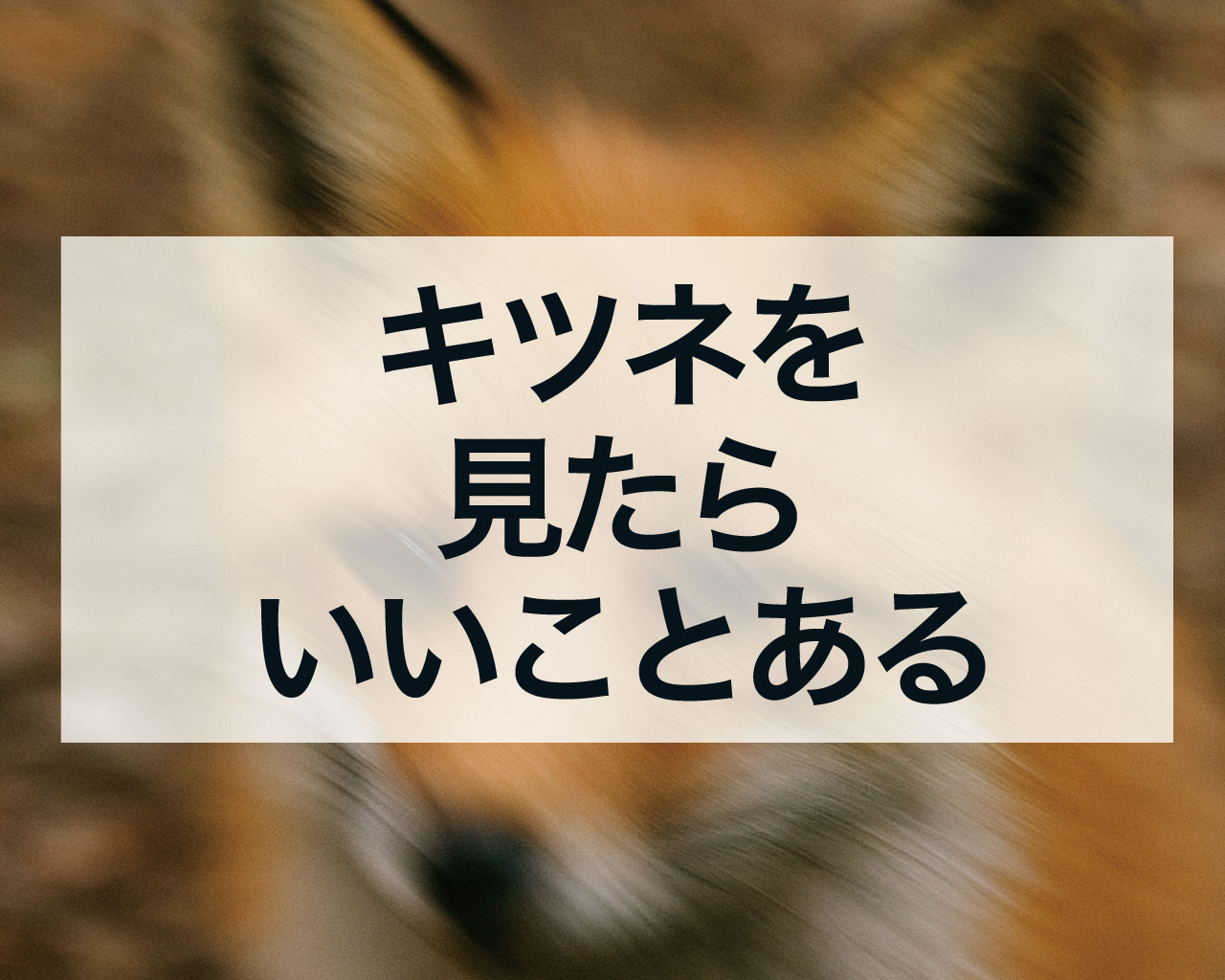 キツネを見たらいいことある！狐が横切るのは縁起がいいスピリチュアルな理由