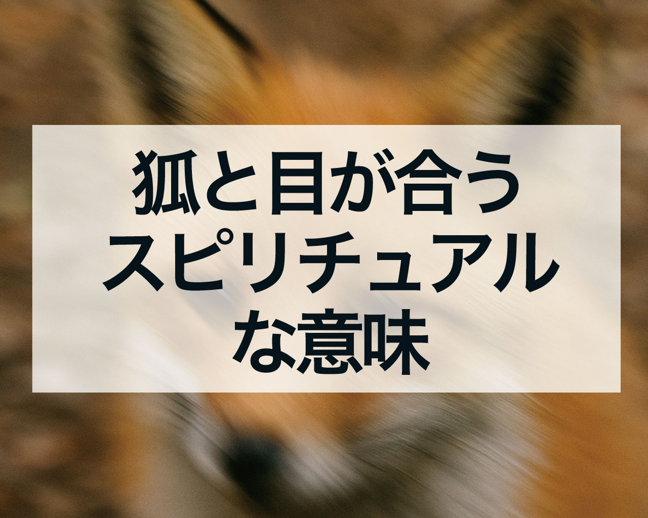 狐と目が合うスピリチュアルな意味