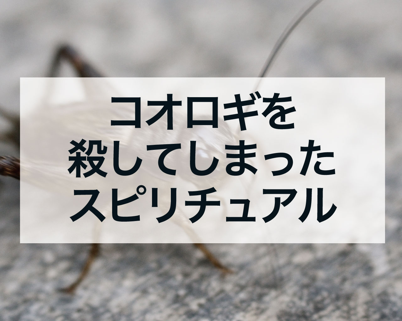 コオロギを殺してしまったスピリチュアル