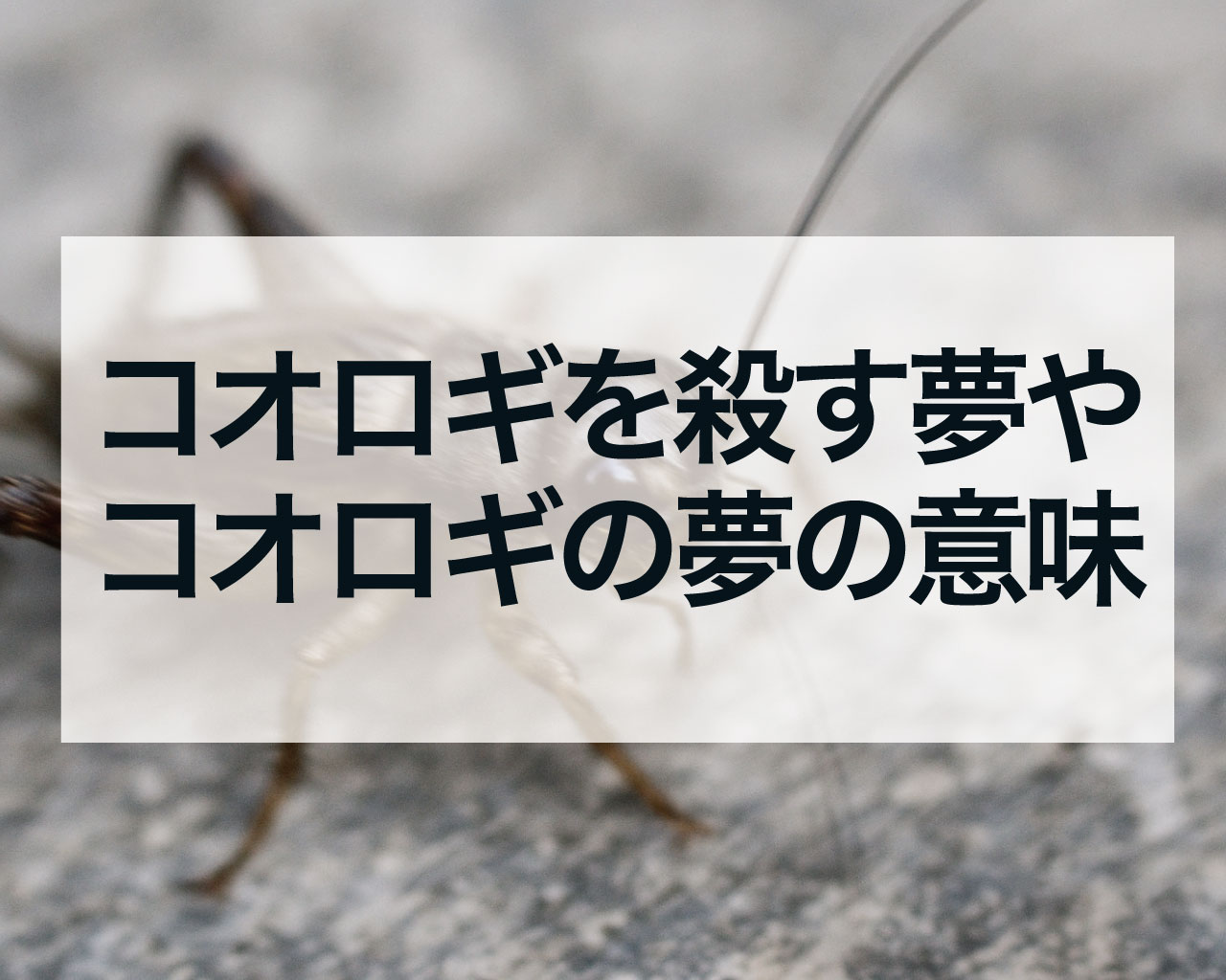 コオロギを殺す夢やコオロギの夢の意味