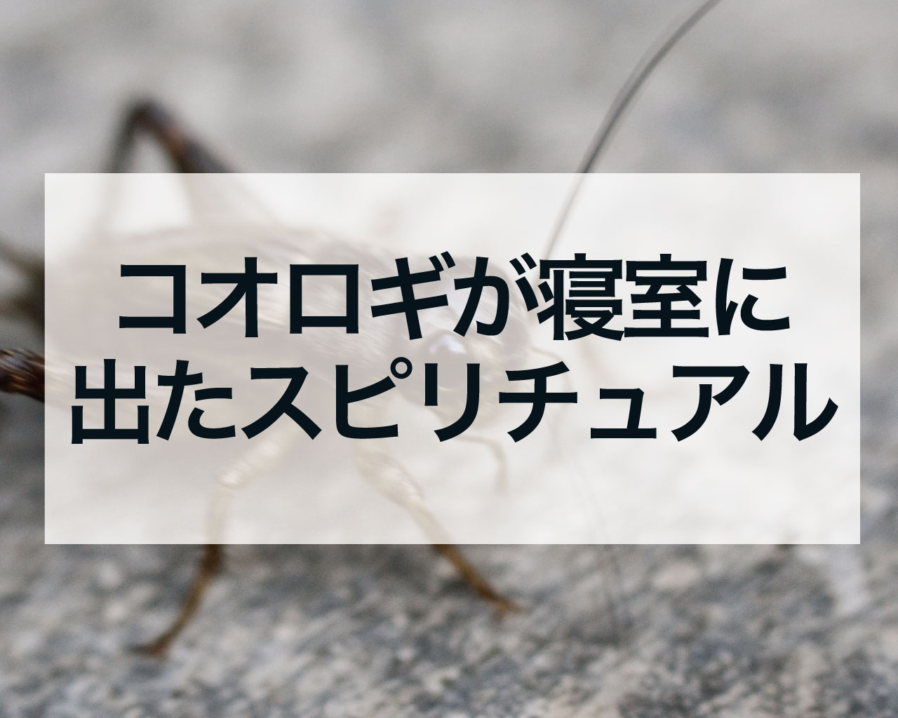 コオロギが寝室に出たスピリチュアル