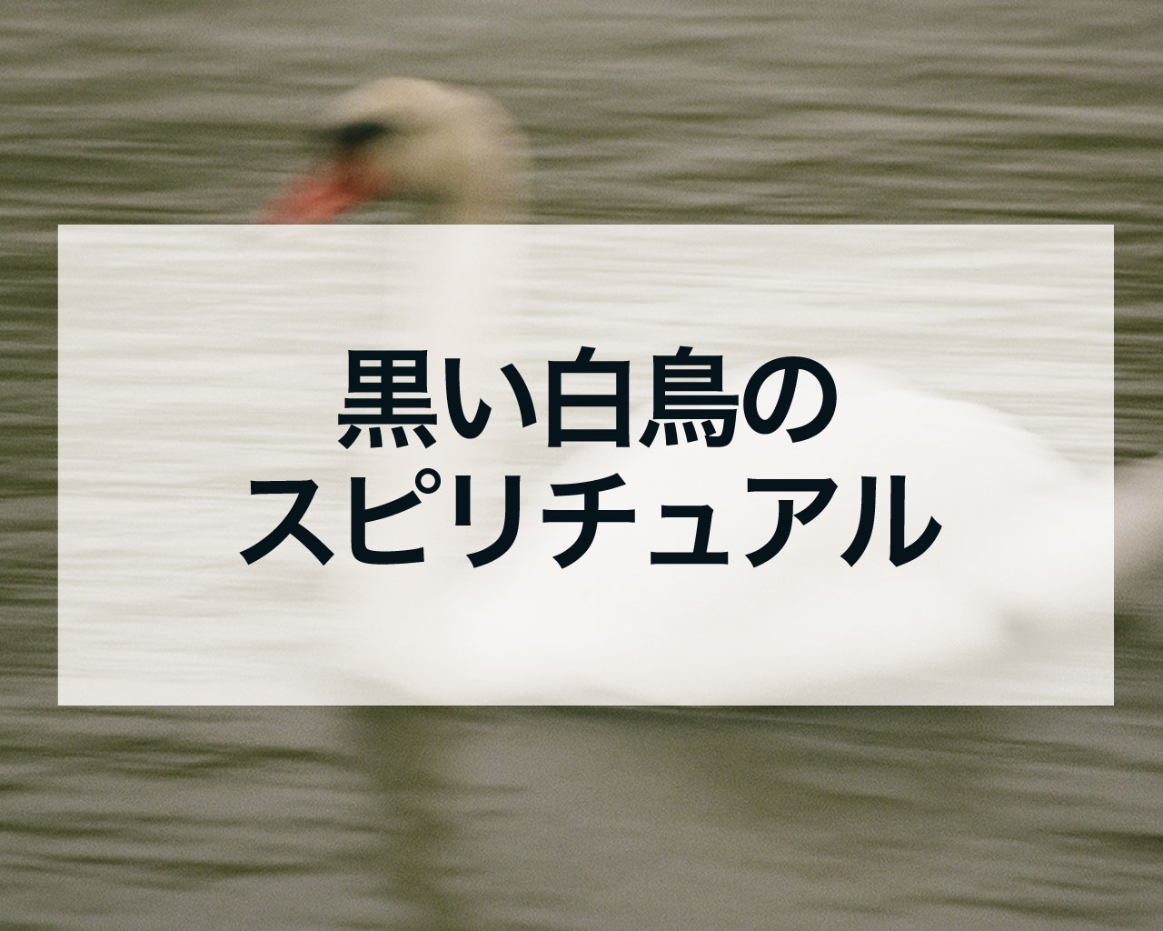 黒い白鳥のスピリチュアル
