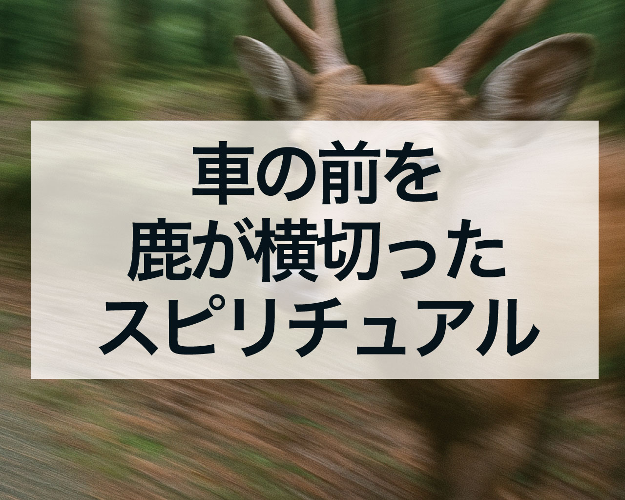 車の前を鹿が横切った・車で鹿に遭遇したスピリチュアルな意味