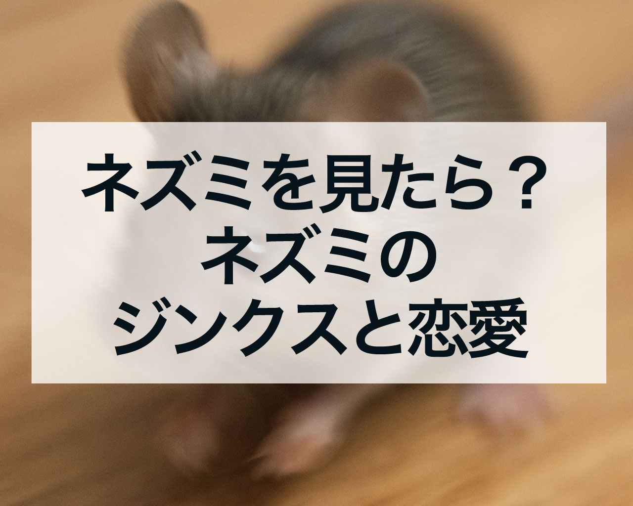 ネズミを見たら？ネズミのジンクスと恋愛のスピリチュアル