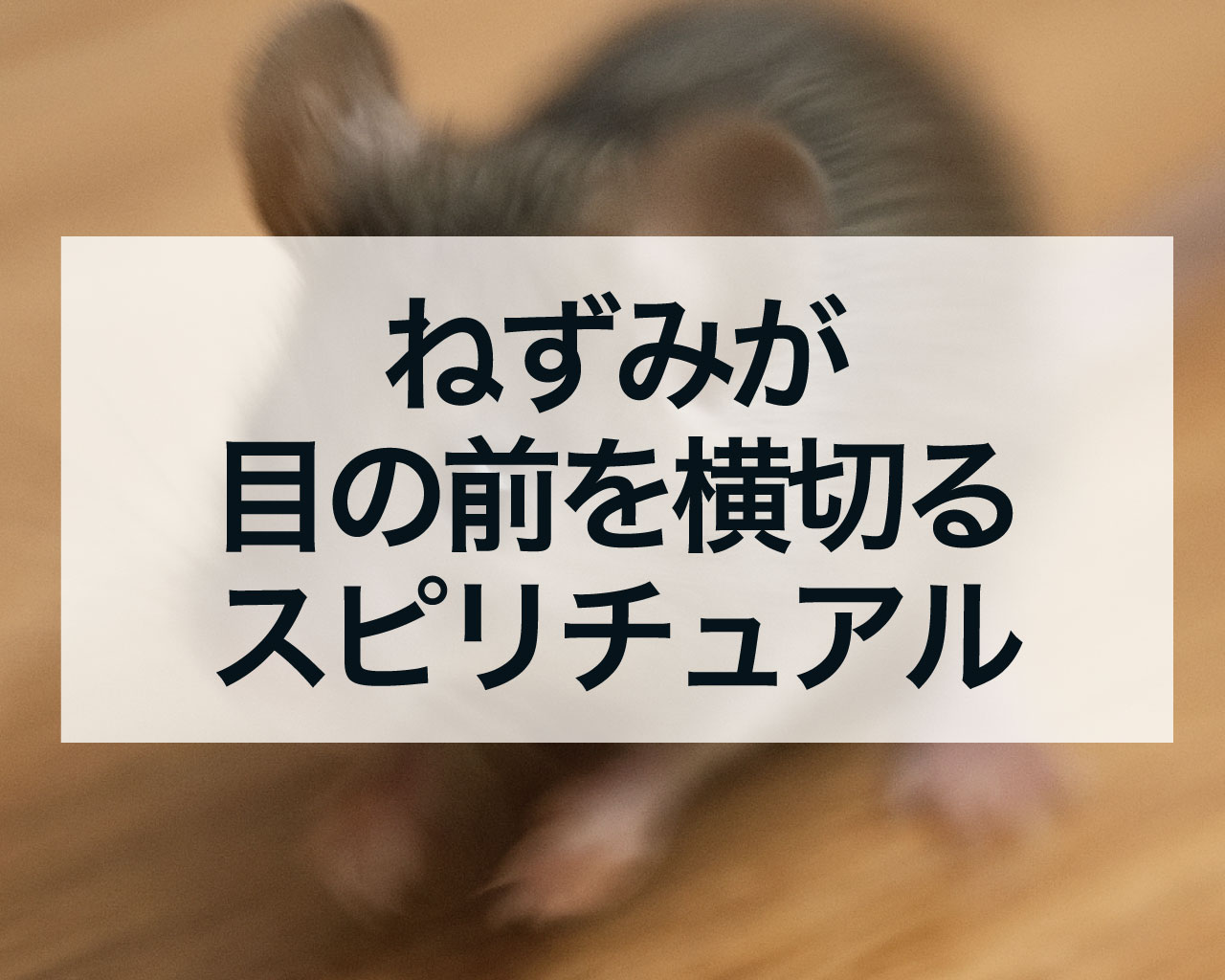 ねずみが目の前を横切るスピリチュアルな意味