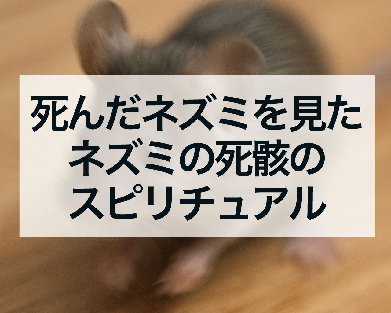 死んだネズミを見た・ネズミの死骸のスピリチュアル