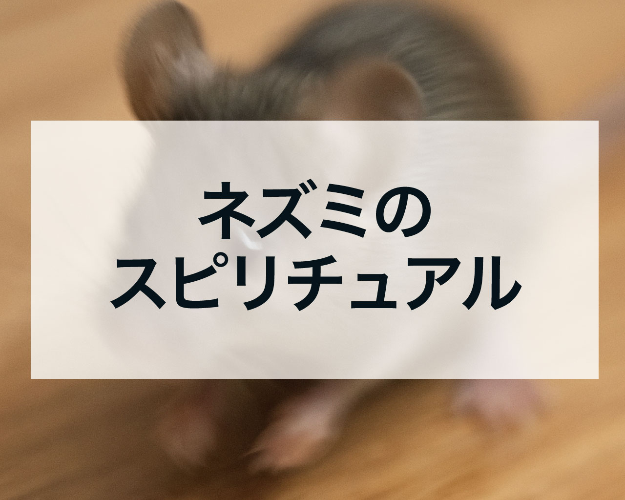 ネズミのスピリチュアル