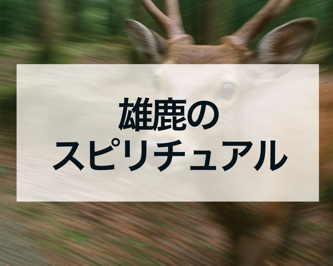 雄鹿のスピリチュアルな意味