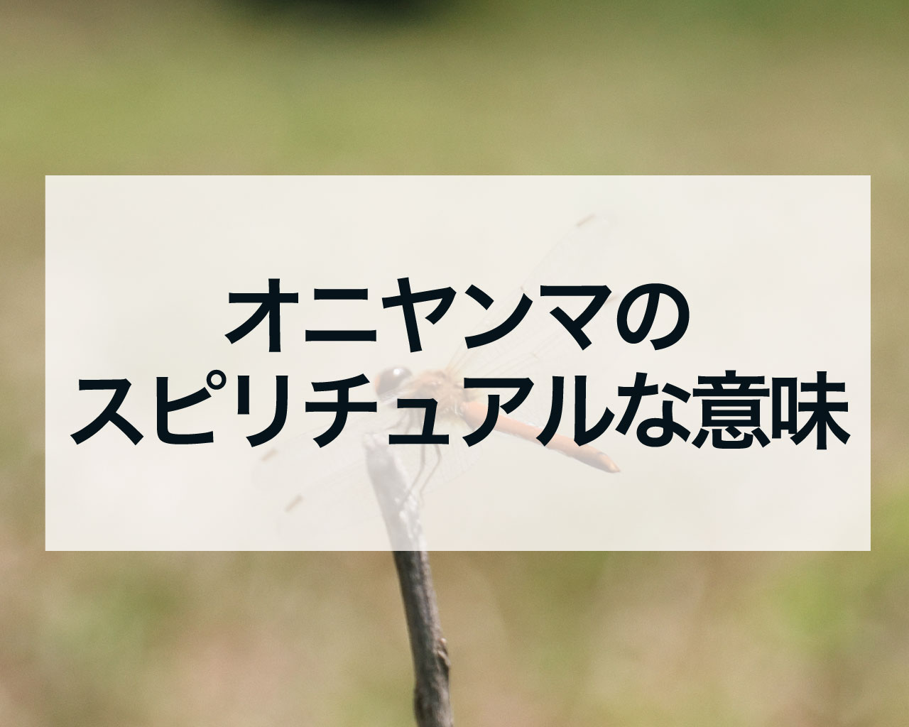 オニヤンマのスピリチュアルな意味