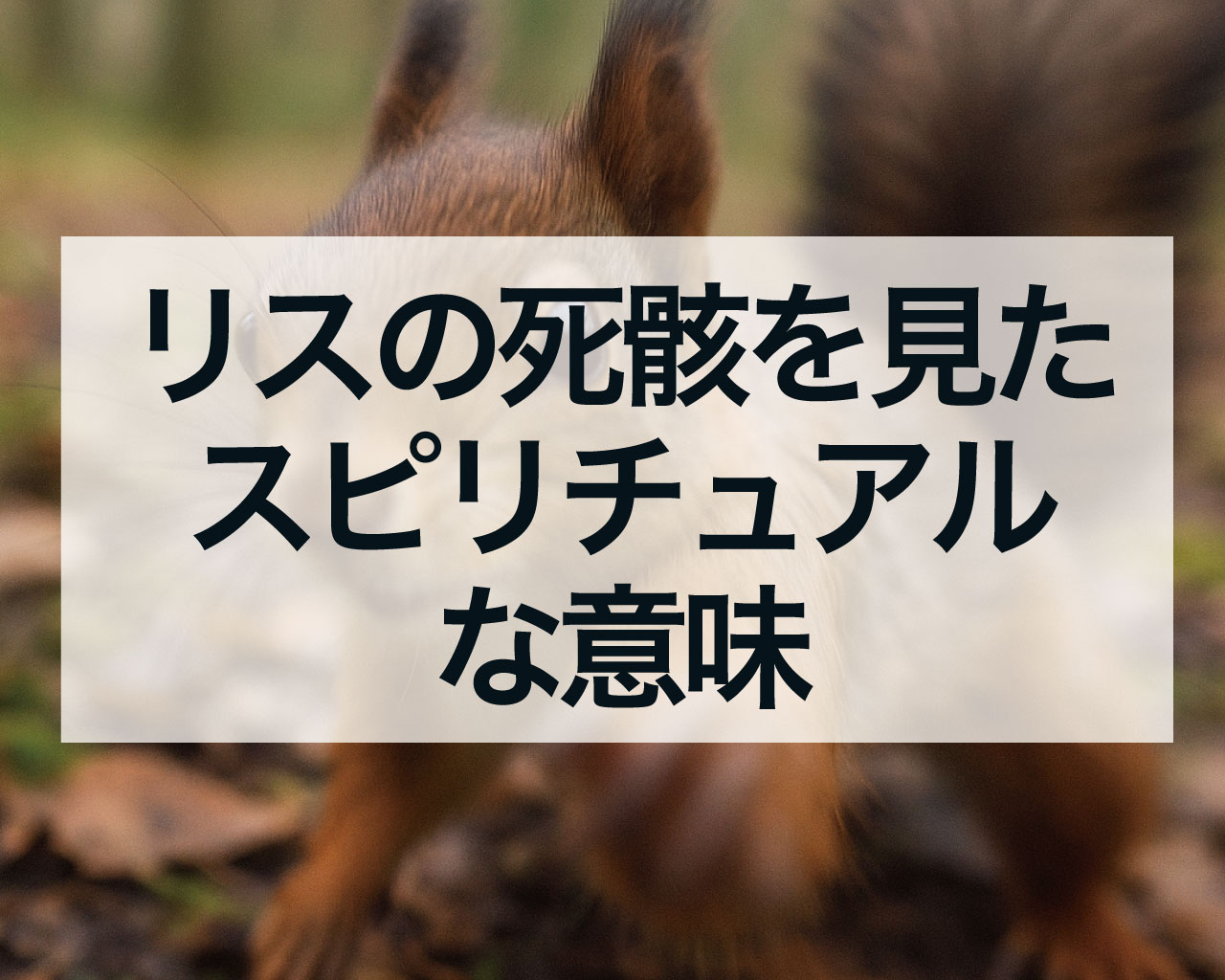 リスの死骸を見たスピリチュアルな意味