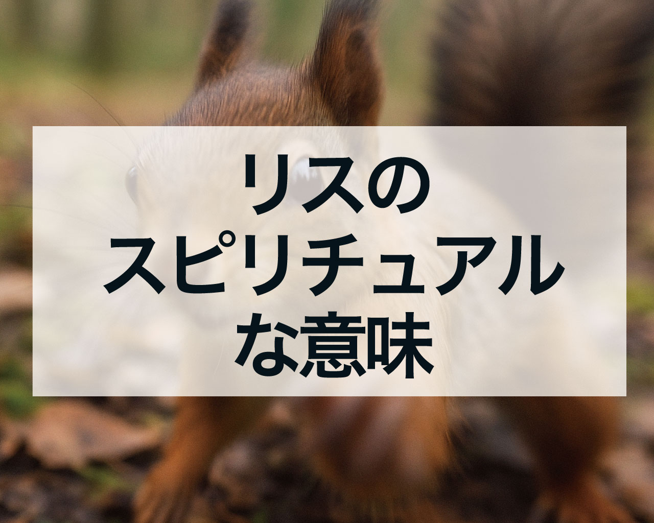 リスのスピリチュアルな意味
