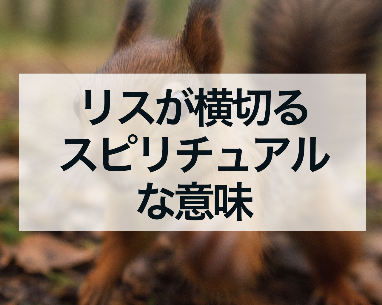リスが横切るスピリチュアルな意味