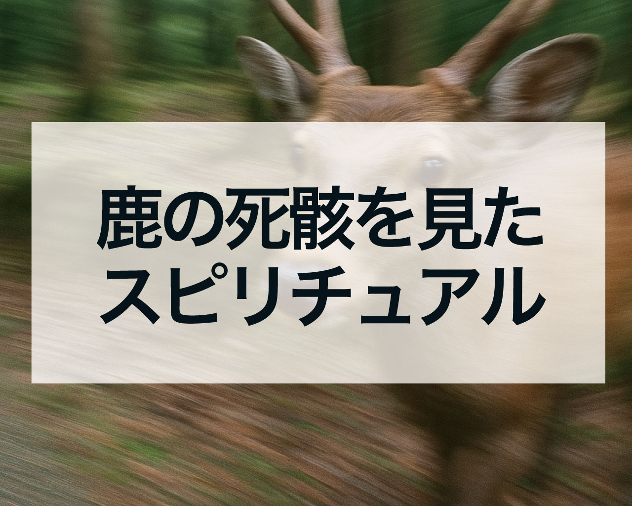 鹿の死骸を見たスピリチュアルな意味