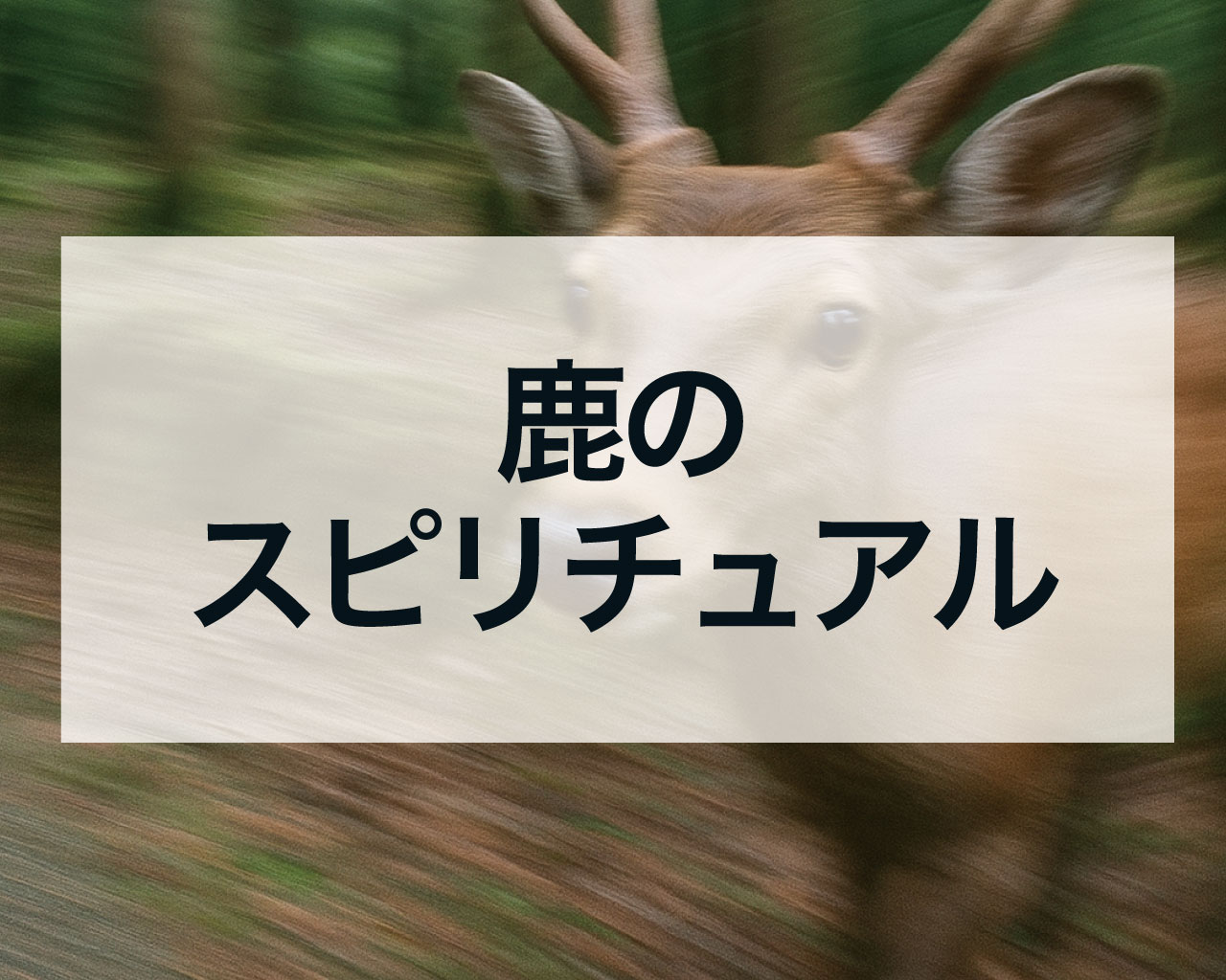 鹿のスピリチュアルな意味