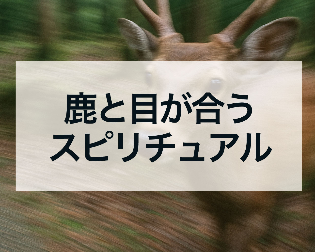 鹿と目が合うスピリチュアルな意味