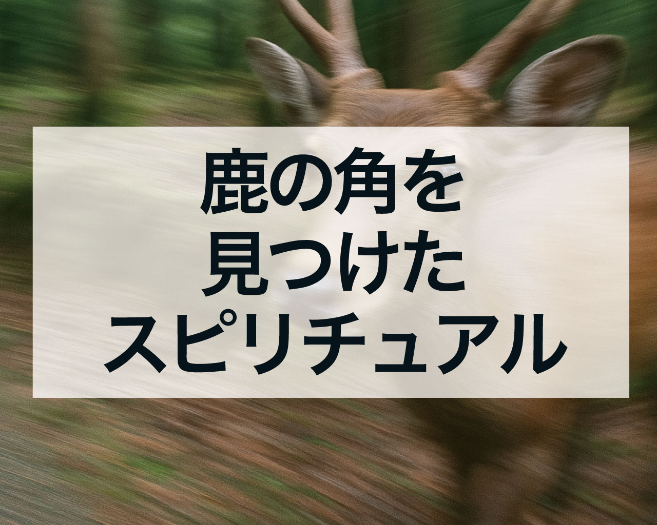 鹿の角を見つけたスピリチュアルな意味