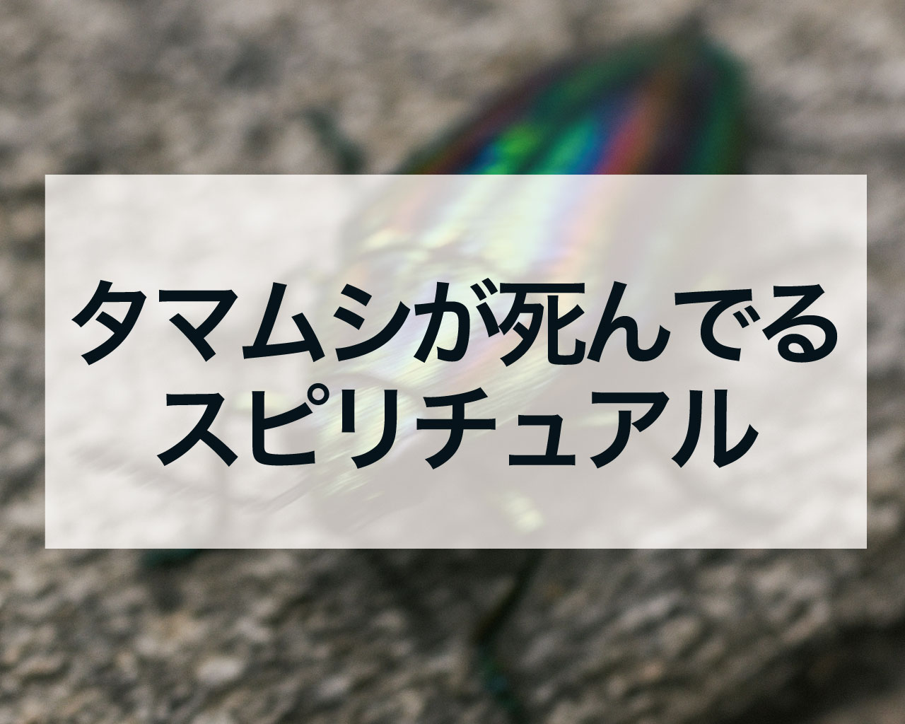 タマムシが死んでるスピリチュアルな意味